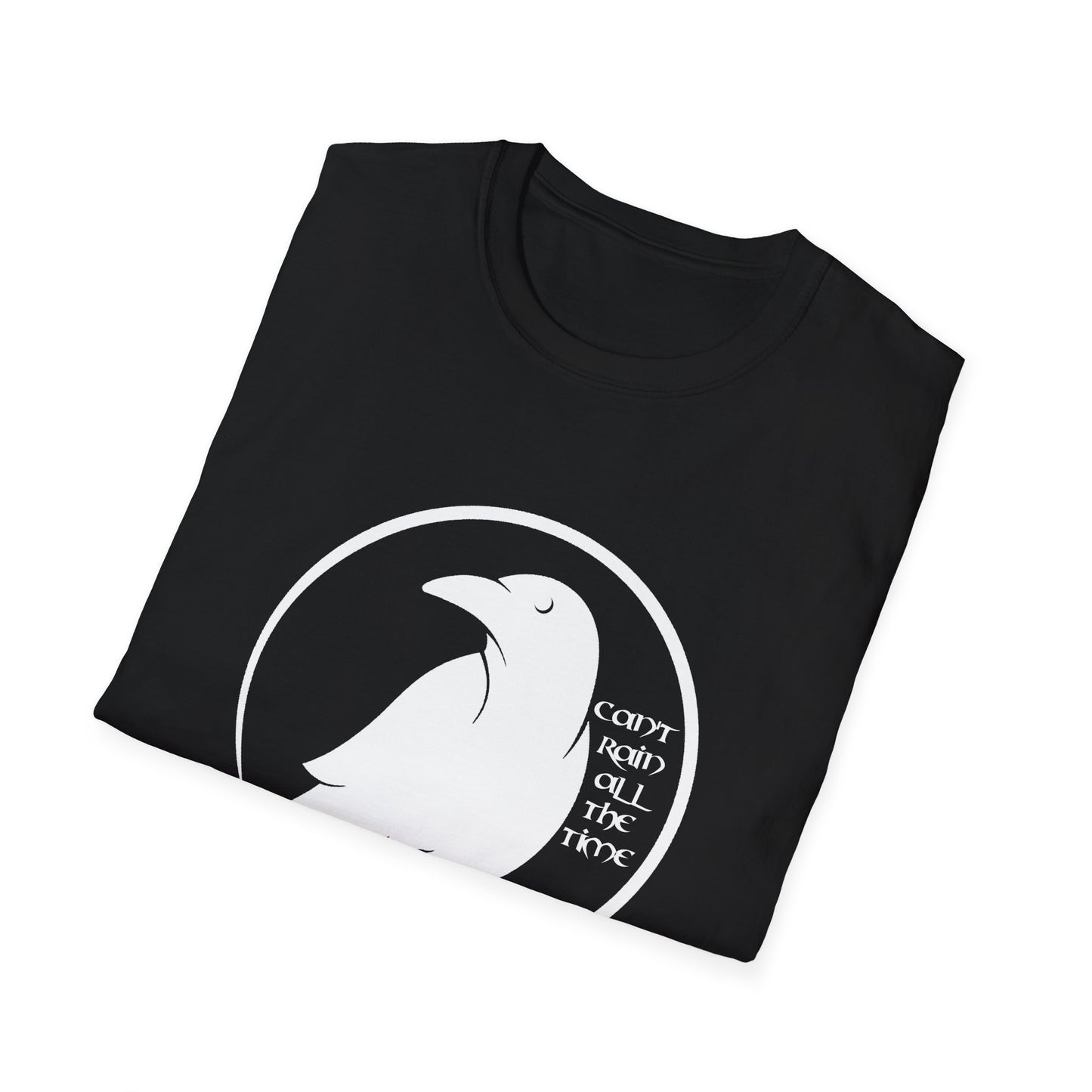 The Crow - Can't Rain All The Time